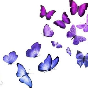 Shop with confidence!